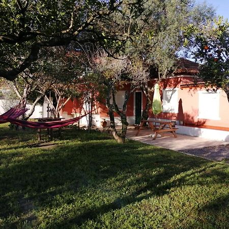 Casa Das Laranjeiras E Parque Infantil Azeitao Esterno foto