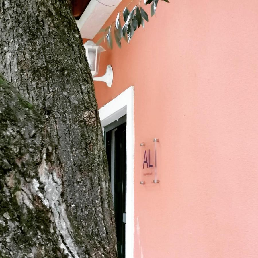 Casa Das Laranjeiras E Parque Infantil Azeitao Esterno foto