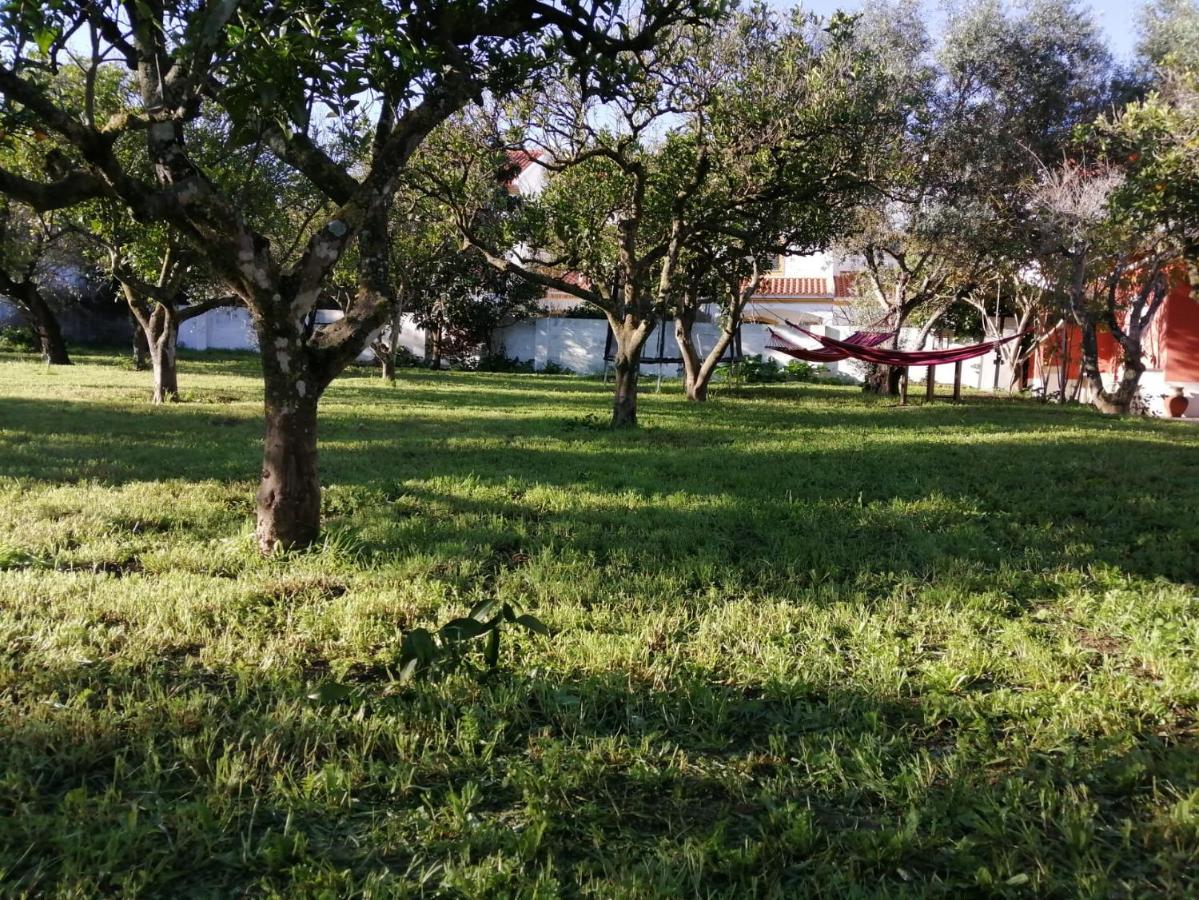 Casa Das Laranjeiras E Parque Infantil Azeitao Esterno foto