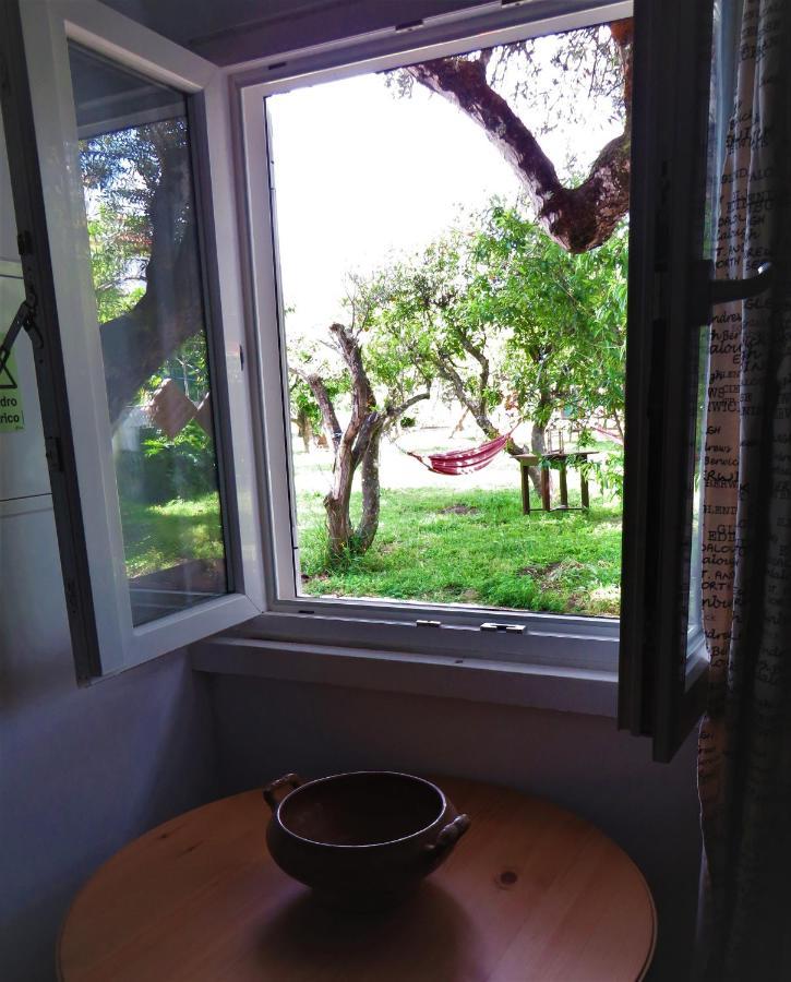 Casa Das Laranjeiras E Parque Infantil Azeitao Esterno foto
